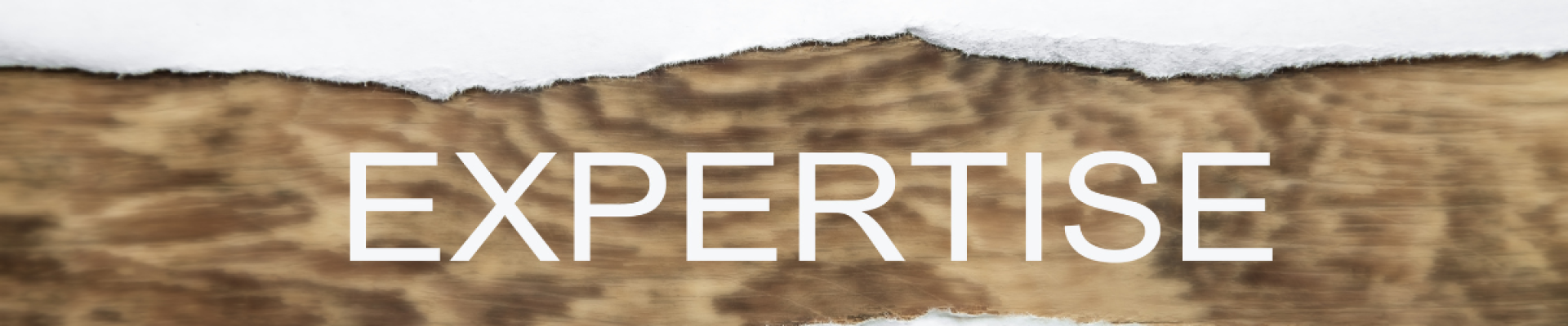 expertise